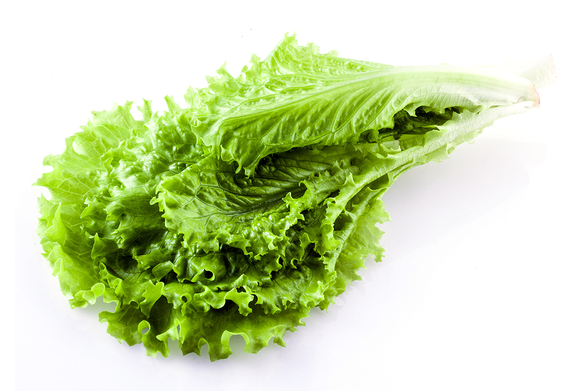 Olsens Corner, Fresh Vegetables - Oak Leaf Lettuce