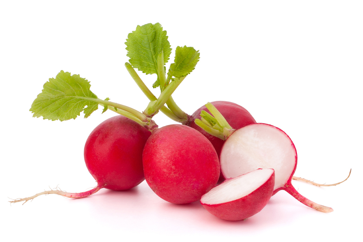 Olsens Corner, Fresh Vegetables - Radishes