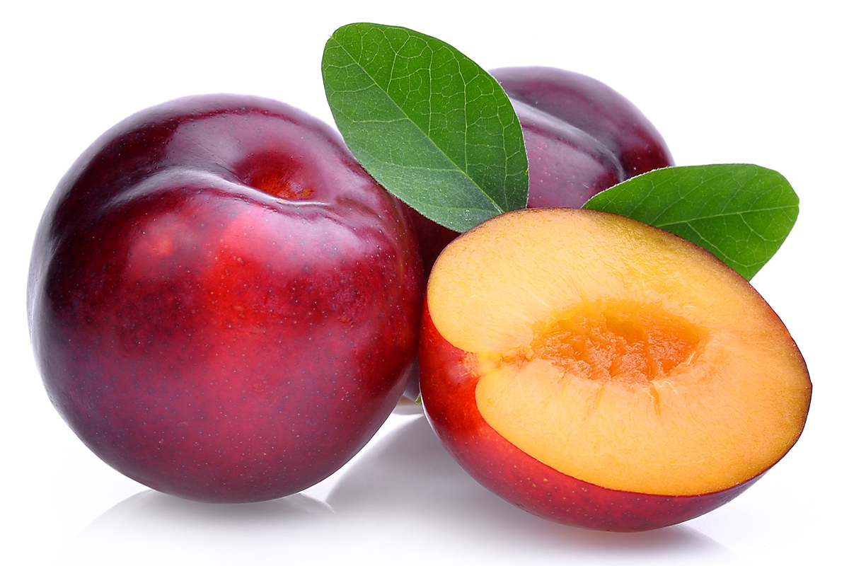 Olsens Corner, Fresh Fruit - Red September Candy Plums