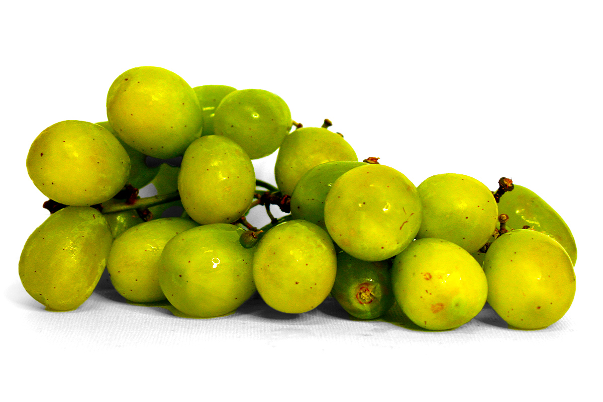 Olsens Corner, Fresh Fruit - Thompson Seedless Grapes